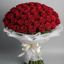 Букет 101 Красная роза Блэк Мэджик #REPLACE_PRED# Альметьевске