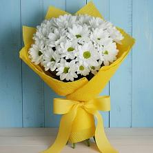Букет цветов из:  Хризантемы в Альметьевске