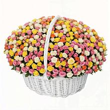 Премиум букет из: Розы в Альметьевске