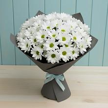Букет цветов из:  Хризантемы в Альметьевске