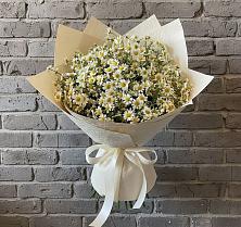 Букет цветов из:  Ромашки в Альметьевске