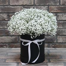 Цветочная композиция из Гипсофила в шляпной коробке в Альметьевске