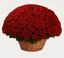 Премиум букет из: Розы в Альметьевске